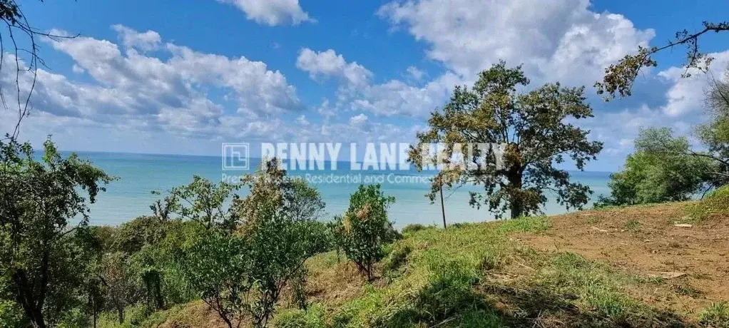 Участок в Краснодарский край, Сочи Новороссийское ш., 11 (40.0 сот.) - Фото 1