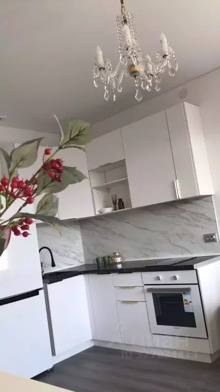 Студия Санкт-Петербург Пулковское ш., 95к4 (25.0 м) - Фото 2