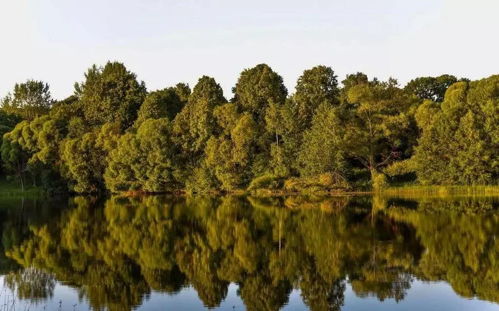 Дом в Смоленская область, Краснинский муниципальный округ, д. Малеево ... - Фото 1