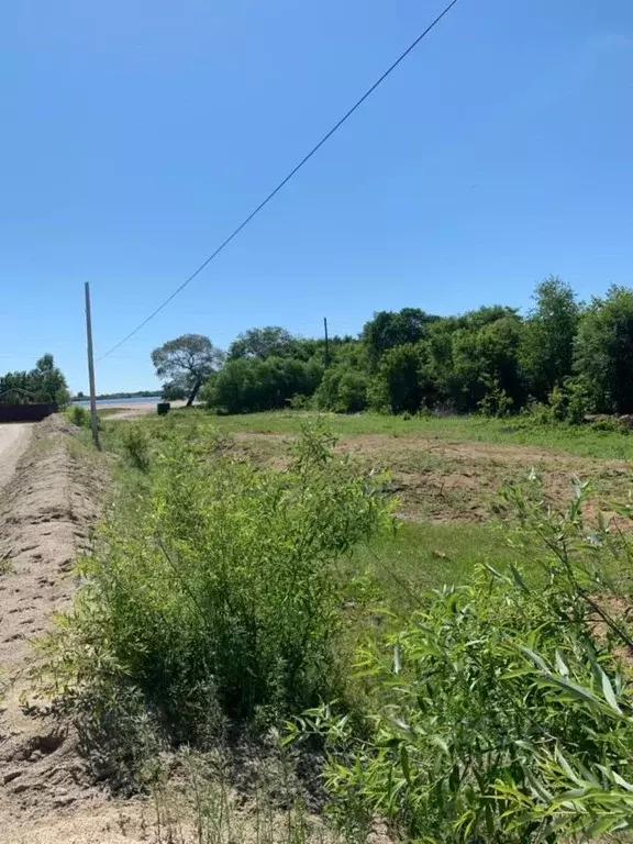Участок в Амурская область, Благовещенский район, с. Новопетровка ... - Фото 1