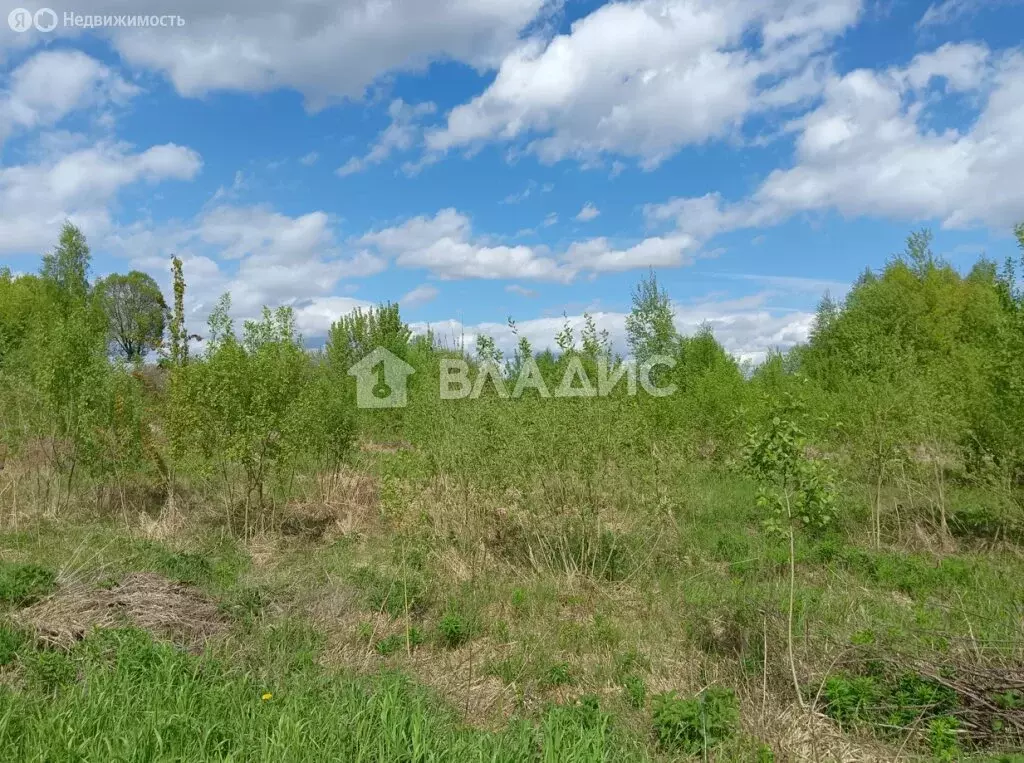 Участок в Суздальский район, муниципальное образование Селецкое, село ... - Фото 1