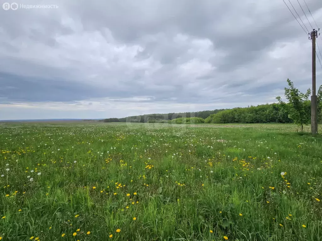 Участок в Тукаевский район, село Биклянь (1240.06 м) - Фото 0