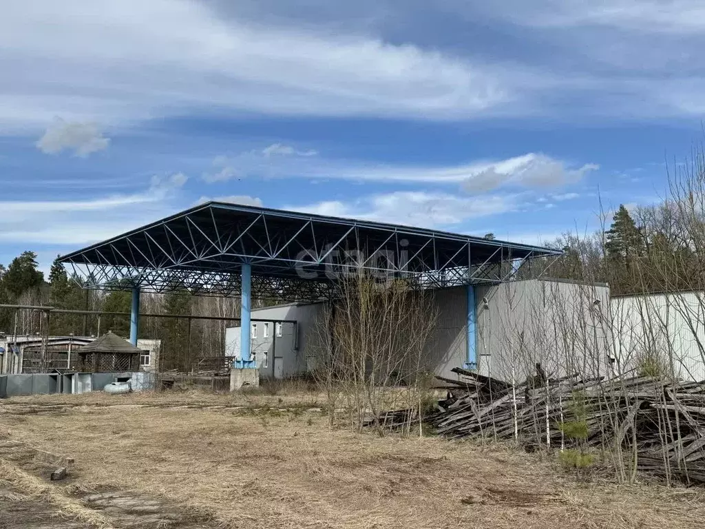Склад в Брянская область, Брасовский район, Погребское с/пос, д. ... - Фото 1