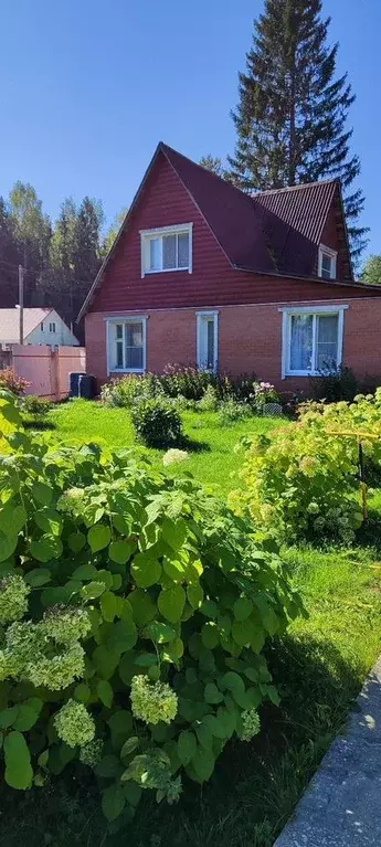 Участок в Ленинградская область, Выборгский район, Советское городское ... - Фото 1