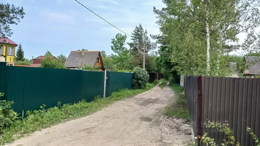 Участок в Ленинградская область, Кировский район, Синявинское ... - Фото 1