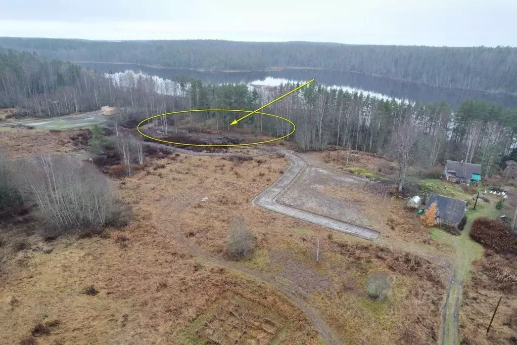 Участок в Карелия, Лахденпохский муниципальный округ, пос. Терваярви ... - Фото 2