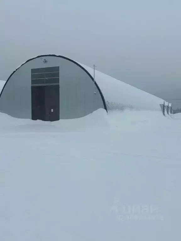 Склад в Московская область, Раменский муниципальный округ, Горка СНТ ... - Фото 1