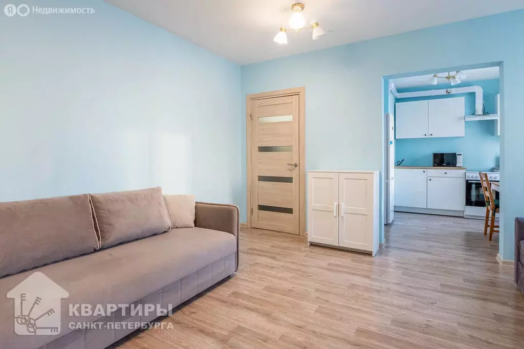 1-комнатная квартира: Санкт-Петербург, Муринская дорога, 10к1 (26.9 м) - Фото 1