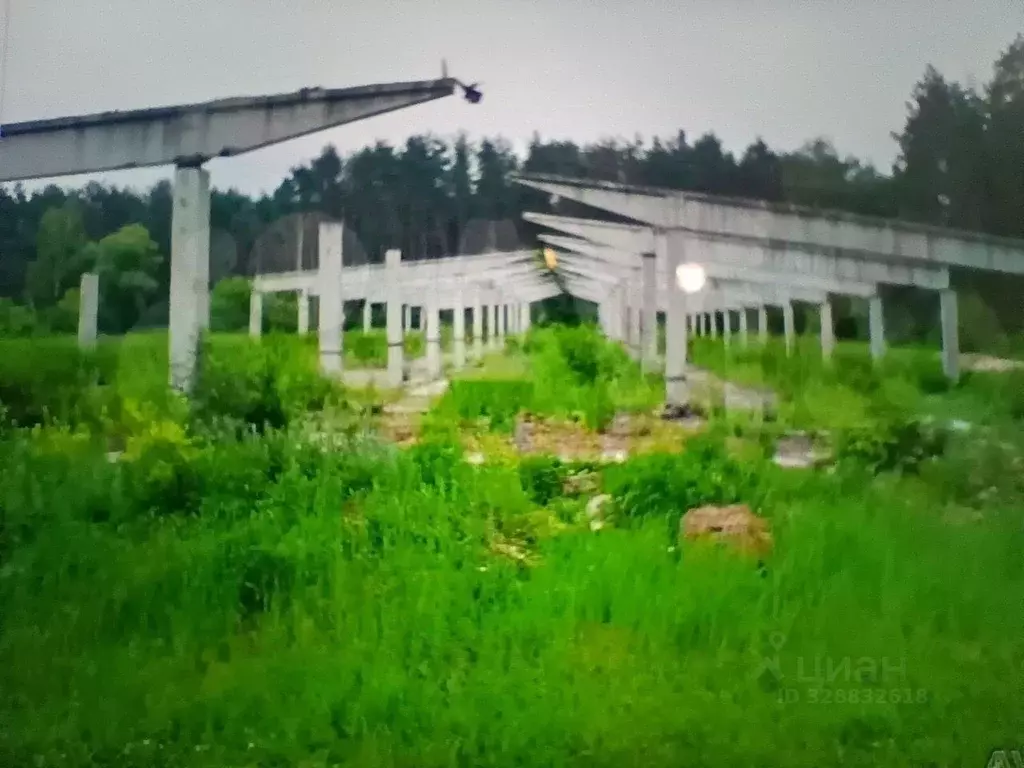 Участок в Московская область, Коломна городской округ, д. Щурово ул. ... - Фото 2