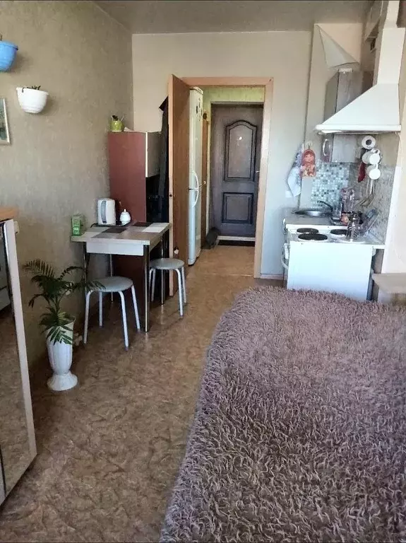 Студия Иркутская область, Иркутск ул. Розы Люксембург, 118/1 (20.0 м) - Фото 1