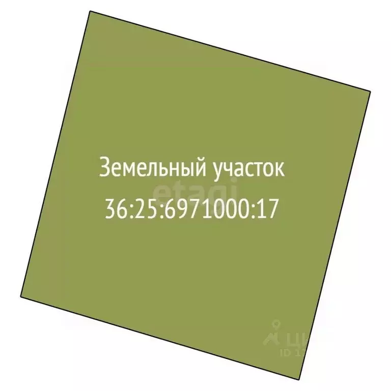 Участок в Воронежская область, Рамонский район, Новоживотинновское ... - Фото 2