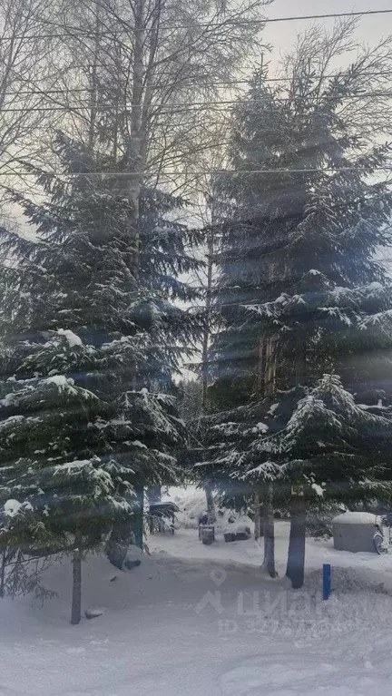 Участок в Ленинградская область, Выборгский район, Приморское ... - Фото 1