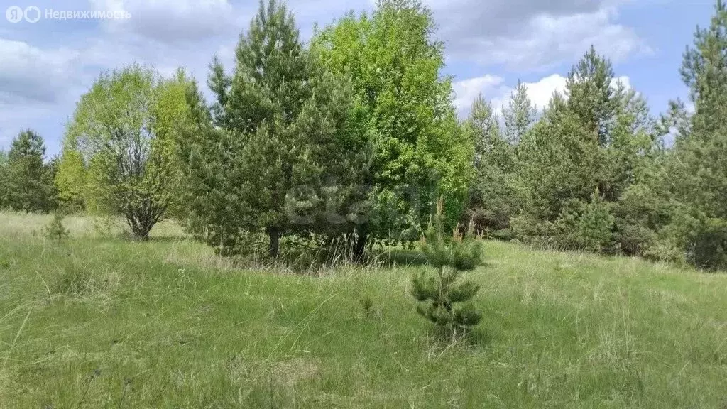 Участок в Нижегородская область, Сосновский муниципальный округ, ... - Фото 2