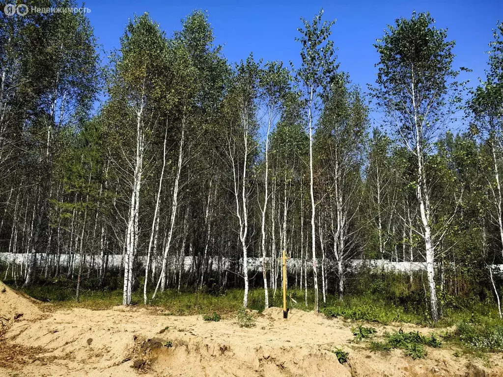 Участок в деревня Малиновка, КП Лесной остров (10.5 м) - Фото 2