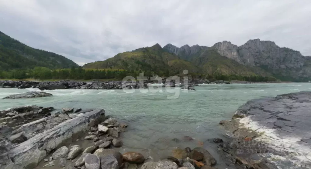 Участок в Алтай, Чемальский район, с. Еланда Новая ул. (995.2 сот.) - Фото 1