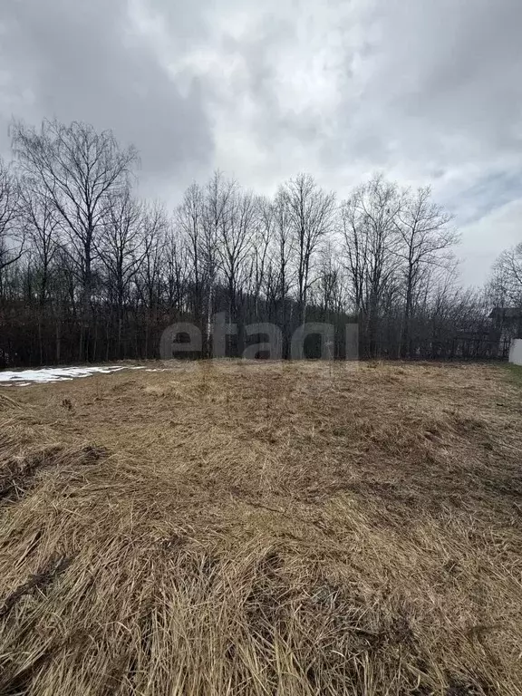 Участок в Московская область, Дмитровский муниципальный округ, д. ... - Фото 2