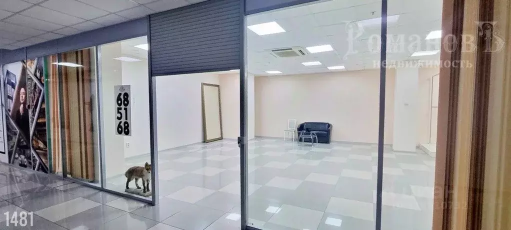 Помещение свободного назначения в Ставропольский край, Ставрополь ул. ... - Фото 0