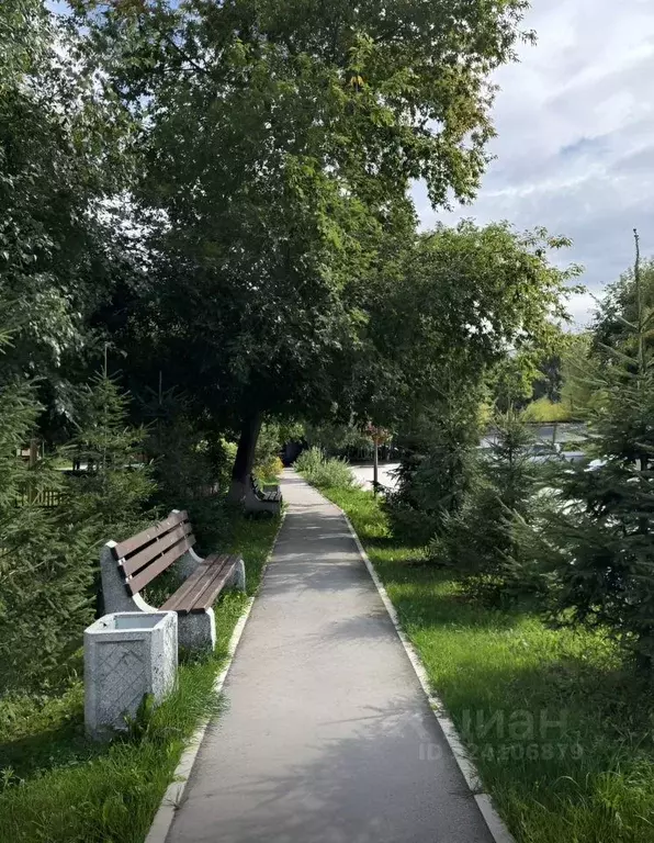 2-к кв. Новосибирская область, Новосибирск Красный просп., 163 (40.0 ... - Фото 2