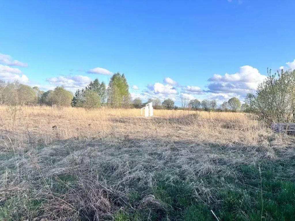 Продается участок в д. Бормусово - Фото 2