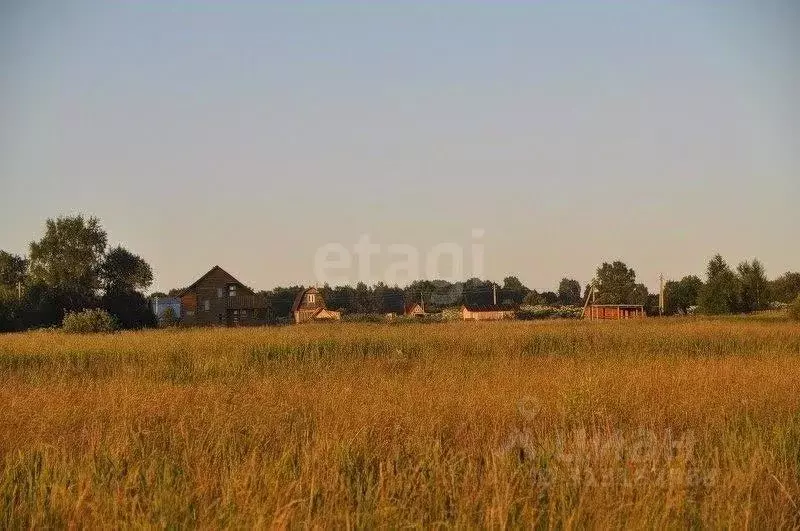 Участок в Московская область, Домодедово городской округ, д. Бехтеево  ... - Фото 1