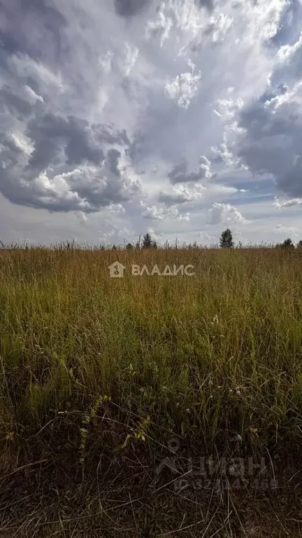 Участок в Нижегородская область, Богородский муниципальный округ, д. ... - Фото 1