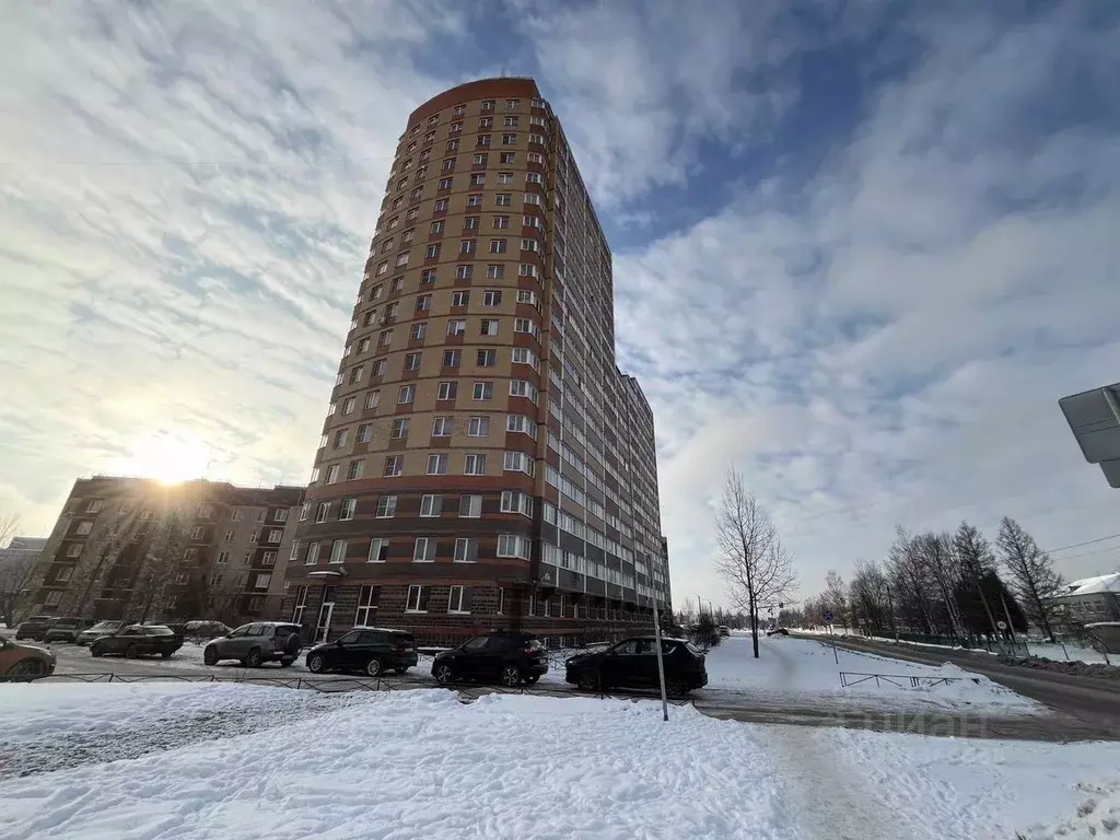 Студия Ленинградская область, Тосно г. Тосненский район, Тосненское ... - Фото 1