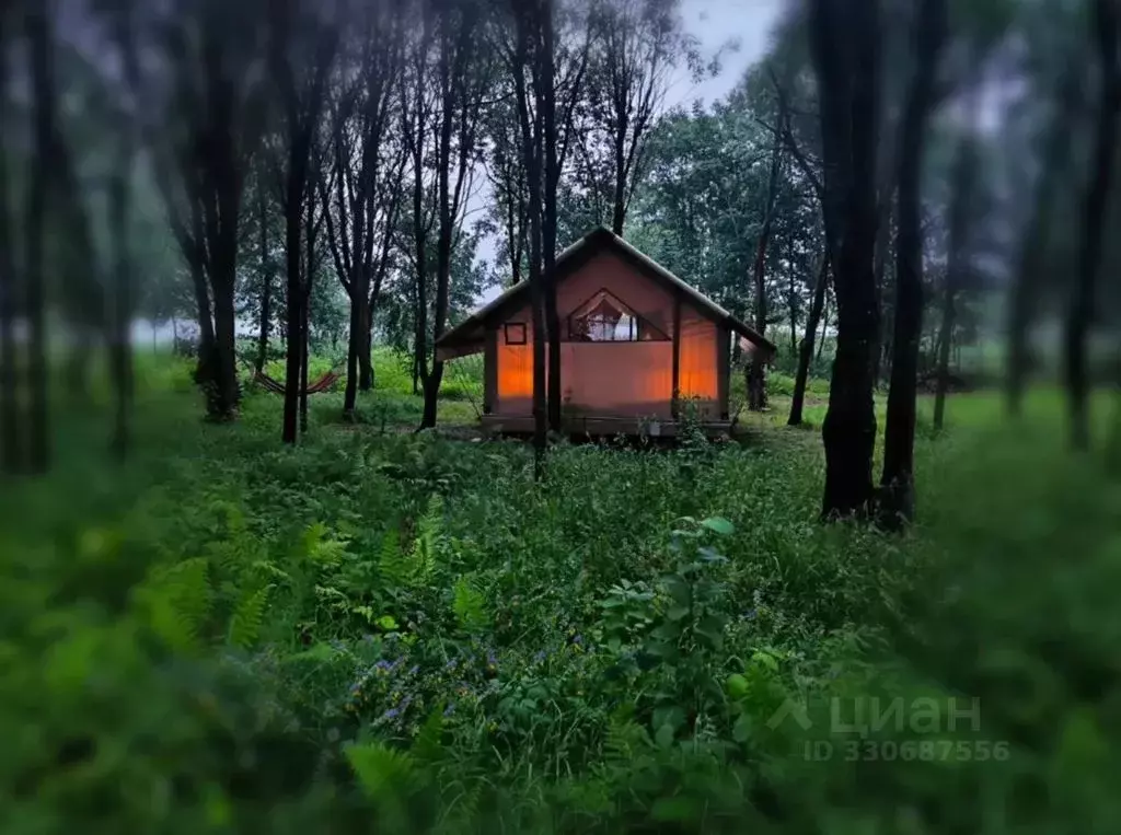 Дом в Смоленская область, Сычевский муниципальный округ, Никольское ... - Фото 1
