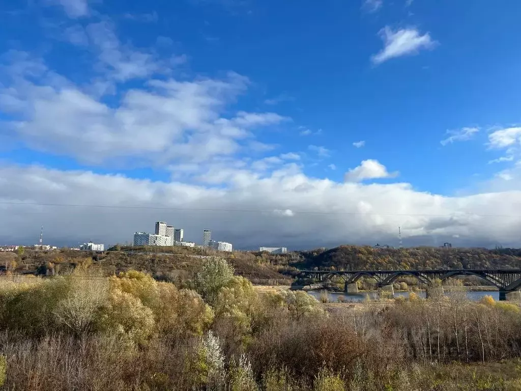 3-к кв. Нижегородская область, Нижний Новгород ул. Левобережная, 5 ... - Фото 1