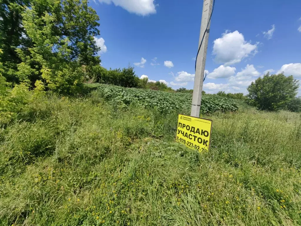 Участок в Воронежская область, Рамонский район, Новоживотинновское ... - Фото 1