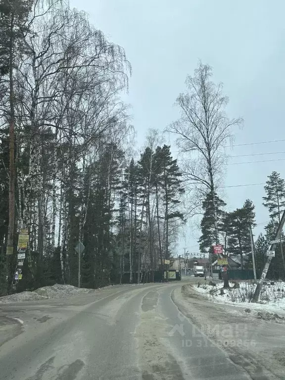 Участок в Московская область, Ногинск Богородский городской округ, ... - Фото 1