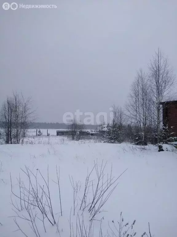 Участок в Пермский край, Нытвенский муниципальный округ, рабочий ... - Фото 1