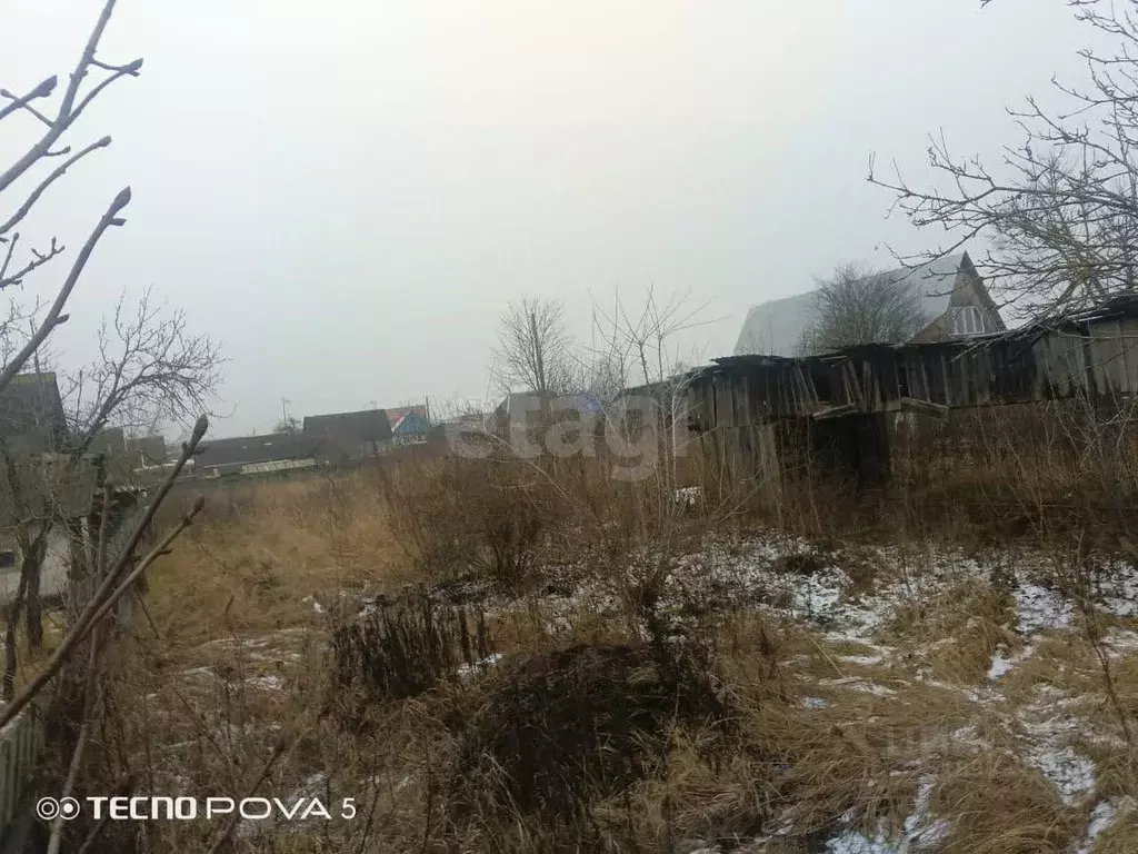 Участок в Брянская область, Жуковский муниципальный округ, с. Ржаница ... - Фото 1