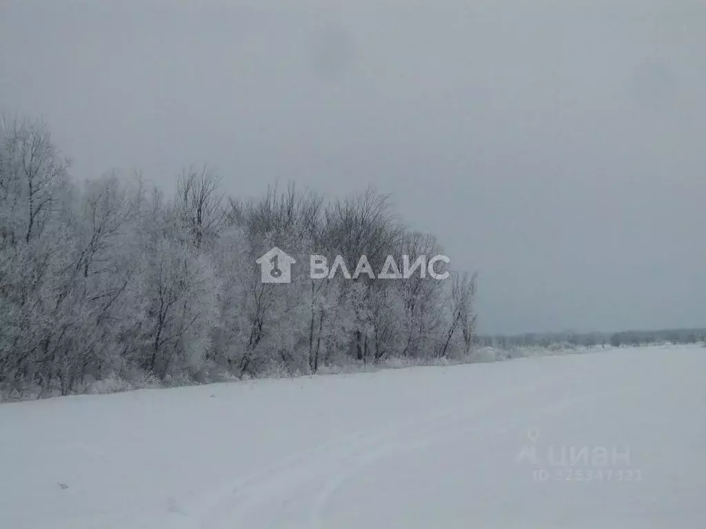 Участок в Ленинградская область, Гатчинский муниципальный округ, д. ... - Фото 2