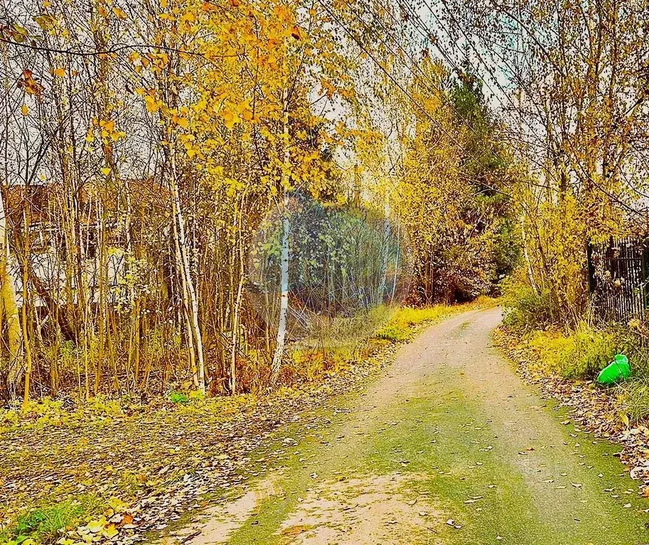 Участок в Московская область, Ленинский городской округ, д. Петрушино ... - Фото 1