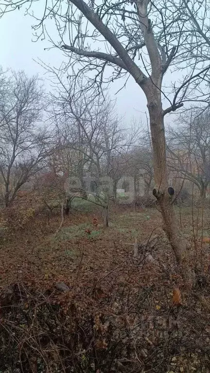 Участок в Ростовская область, Аксайский район, Щепкинское с/пос, ... - Фото 2