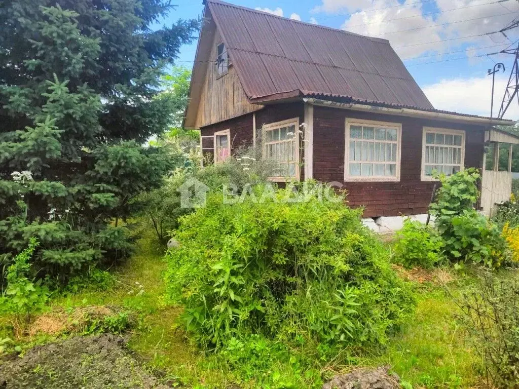 Дом в Новосибирская область, Новосибирск Лилия СНТ, 248 (54 м) - Фото 1