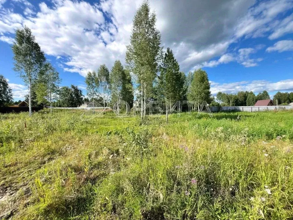 Участок в Тюменская область, Нижнетавдинский район, Березка СНТ  (7.81 ... - Фото 1