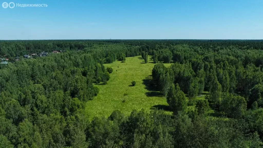 Участок в Московская область, Раменский муниципальный округ, ... - Фото 2