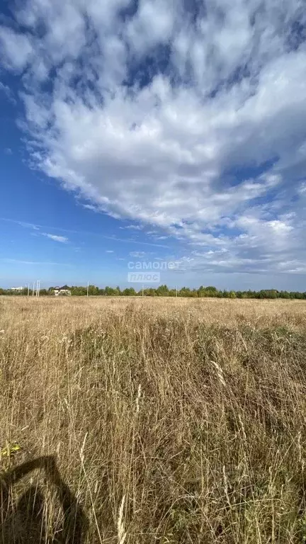 Участок в Архангельская область, Коряжма ул. Благодатная, 57 (8.2 ... - Фото 2