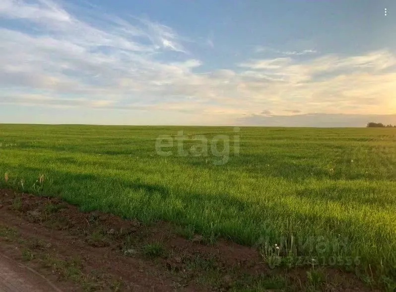 Дом в Пермский край, Частинский муниципальный округ, д. Байдины 4Б (37 ... - Фото 2