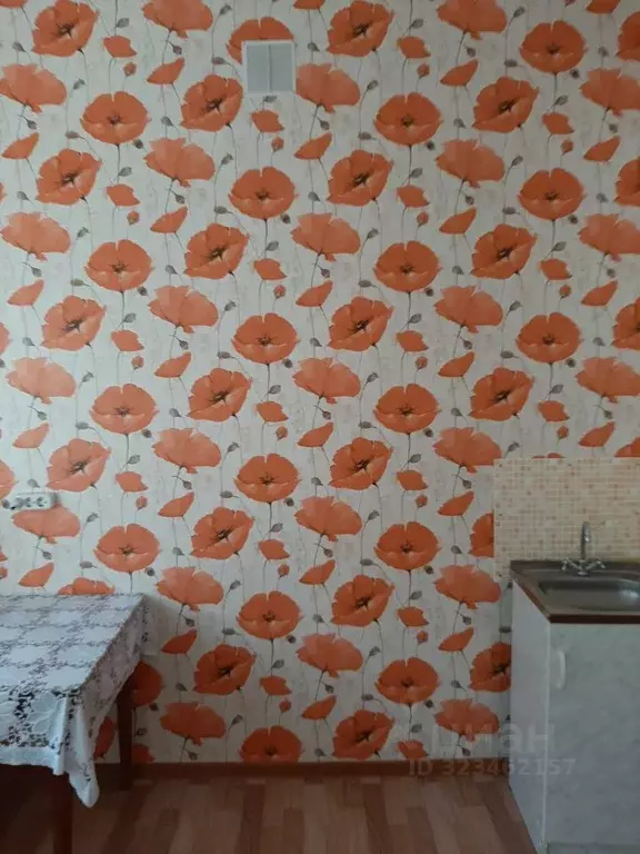 1-к кв. Саратовская область, Петровск ул. Фридриха Энгельса, 91Б (24.0 ... - Фото 1