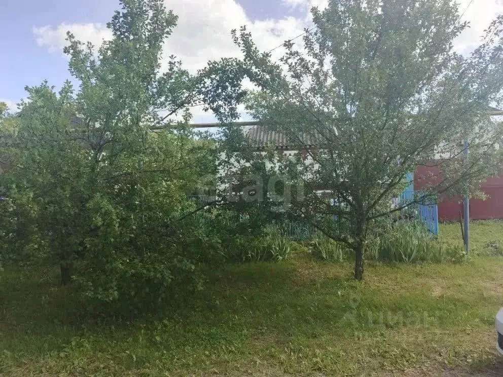 Дом в Белгородская область, Яковлевский муниципальный округ, с. Новая ... - Фото 1