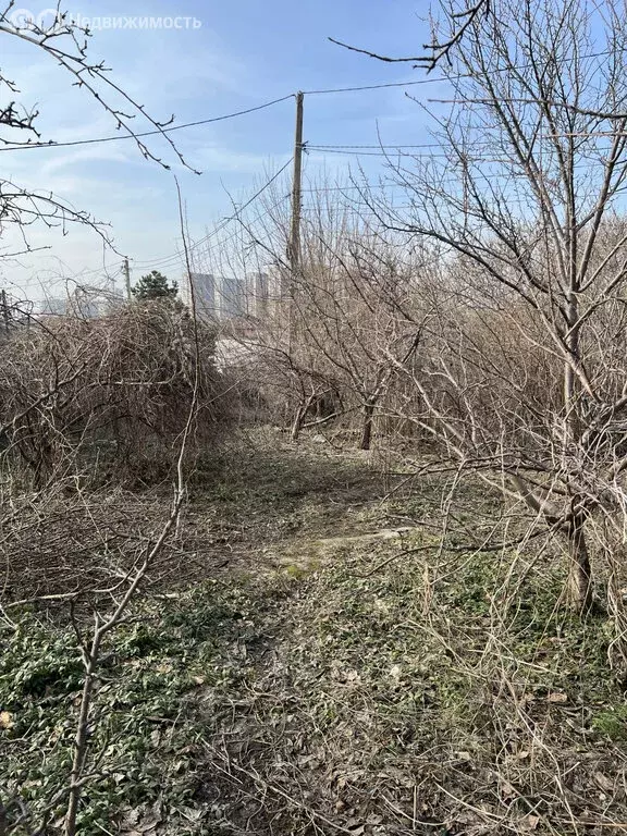 Участок в Ростов-на-Дону, садовое товарищество Садовод-Любитель, 4-я ... - Фото 0