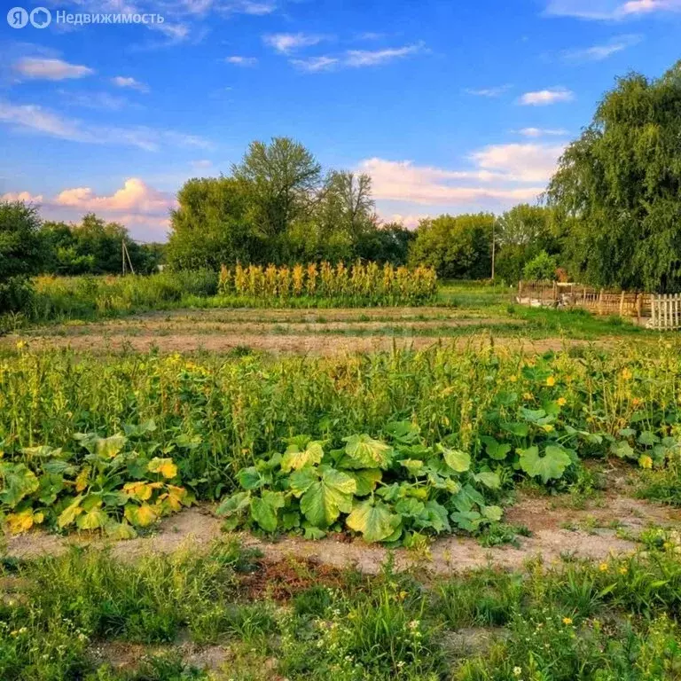 Участок в село Афоньевка, Подгорная улица (6 м) - Фото 1