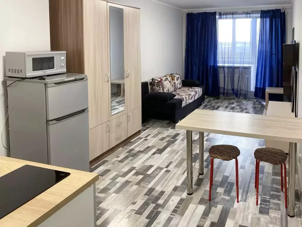 Студия Санкт-Петербург просп. Металлистов, 117 (26.0 м) - Фото 2