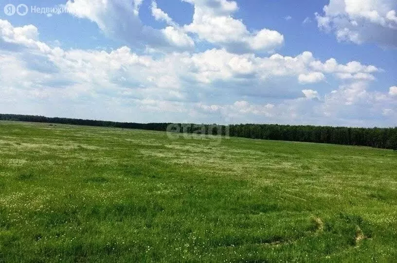 Участок в Тукаевский район, деревня Малая Шильна (10 м) - Фото 0