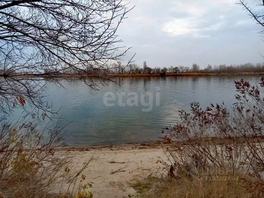 Участок в Ростовская область, Багаевский район, Манычское с/пос, ... - Фото 0