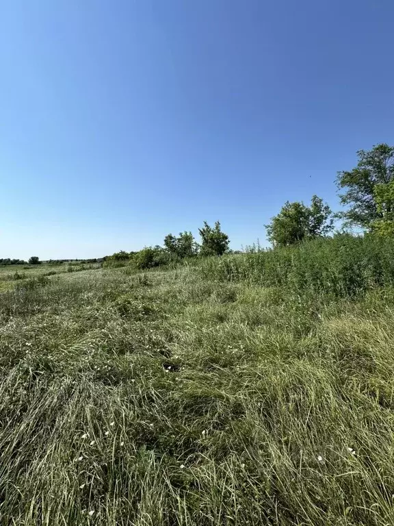 Участок в Ульяновская область, Ульяновск городской округ, с. ... - Фото 1