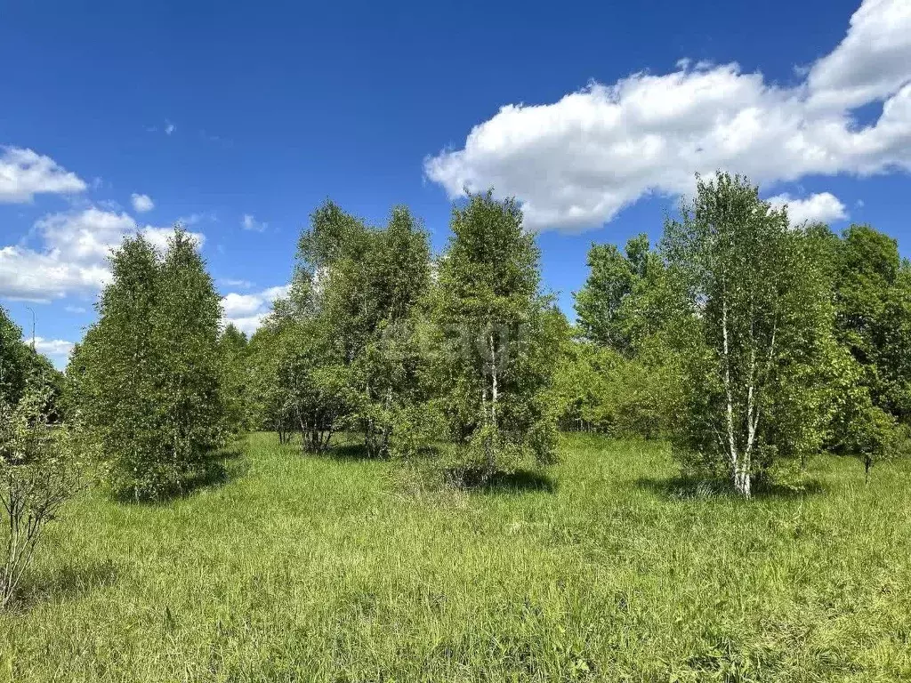 Участок в Калужская область, Малоярославецкий муниципальный округ, ... - Фото 1