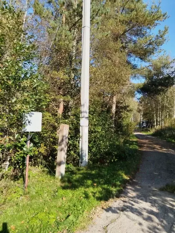 Участок в Ленинградская область, Кингисеппский район, пос. Усть-Луга, ... - Фото 1